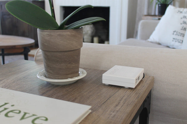 White AirLink air quality monitor by Davis Instruments sitting on a wooden table next to a potted plant.