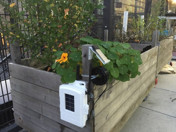 Wireless soil moisture and temperature station by Davis Instruments with a solar panel attached to the side of a wooden planter.