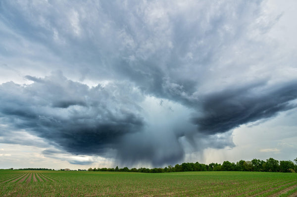 Hardware activation service from Davis Instruments, with rows of young corn in a large field under a stormy sky.