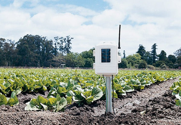 Wireless leaf and soil moisture/temperature station by Davis Instruments in a lettuce field with trees in the background.
