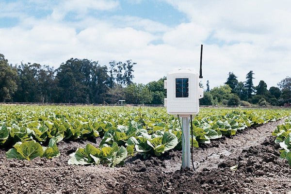 Wireless leaf and soil moisture station by Davis Instruments, standing in a field of green plants.