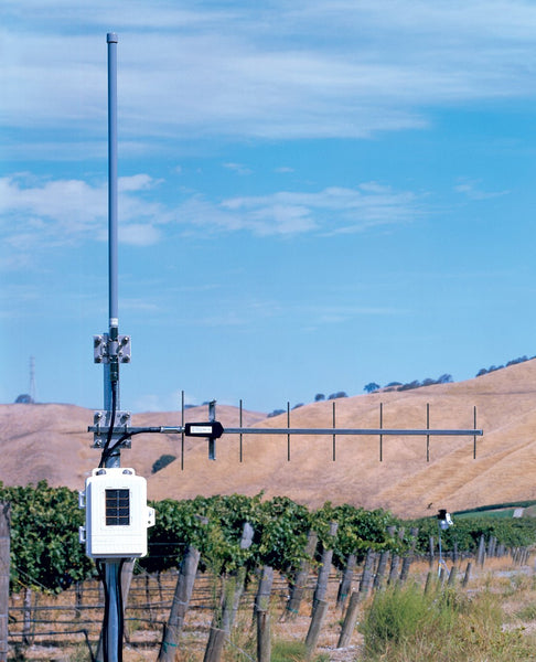 Wireless long-range repeater with solar power by Davis Instruments, attached to a tall gray pole in a vineyard setting.
